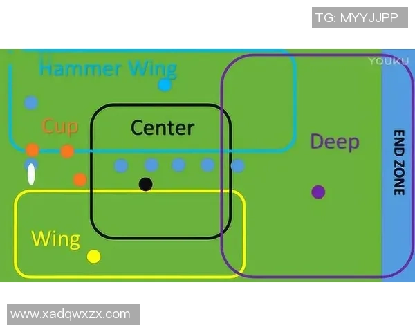 南京飞盘队反击战术解析与实战应用探讨