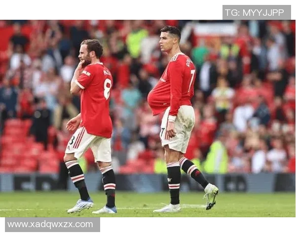 广州排球队灵活性引发热议球迷与专家各执己见探讨争议背后原因