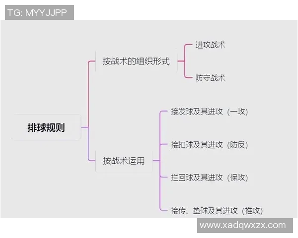 武汉排球队的节奏体系与排球战术的深度解析与实践探索